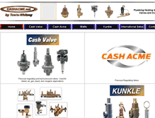 Tablet Screenshot of cashacme.net